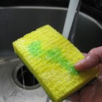 sponge with liquid dish detergent