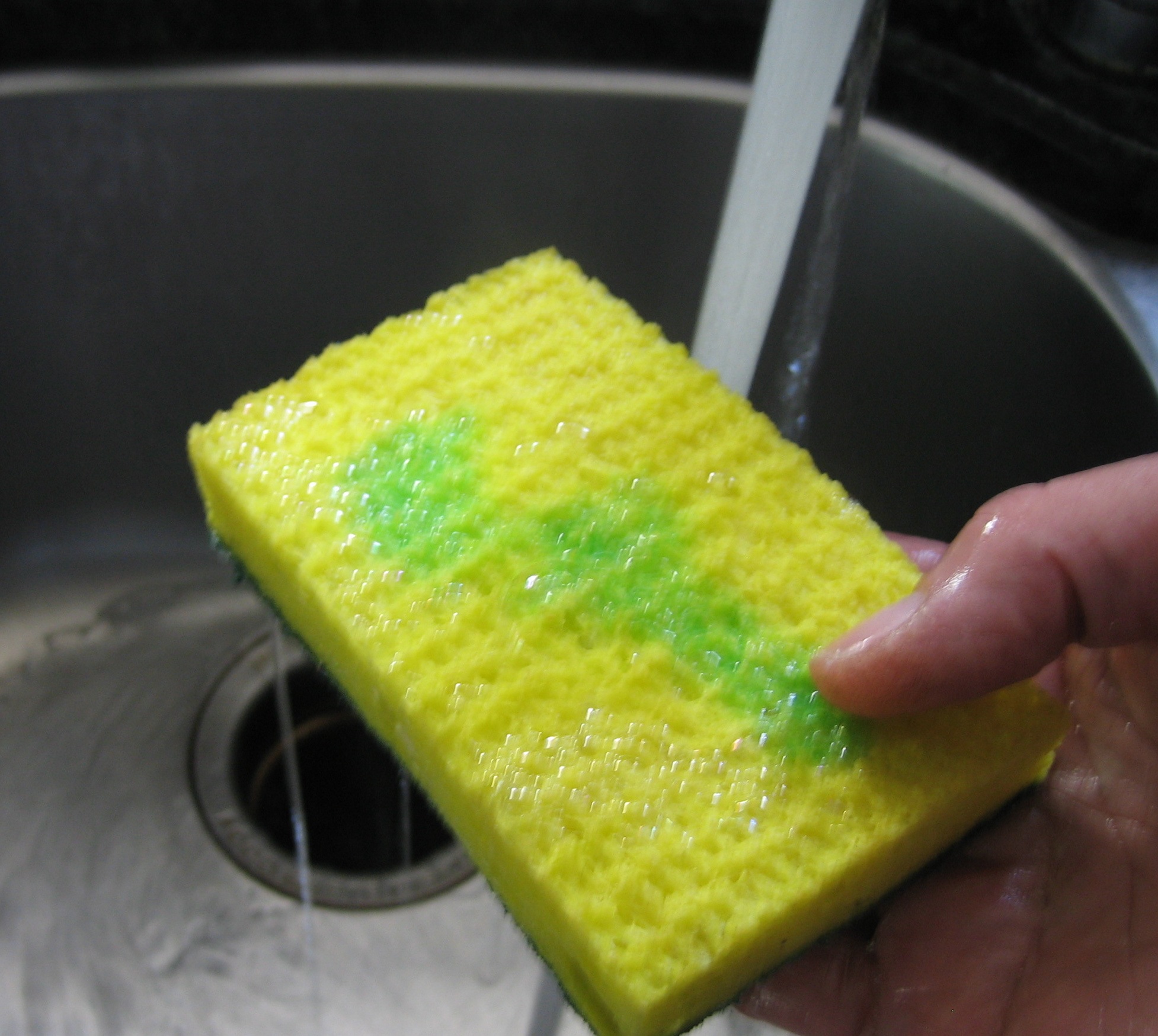 Stinky Sponge