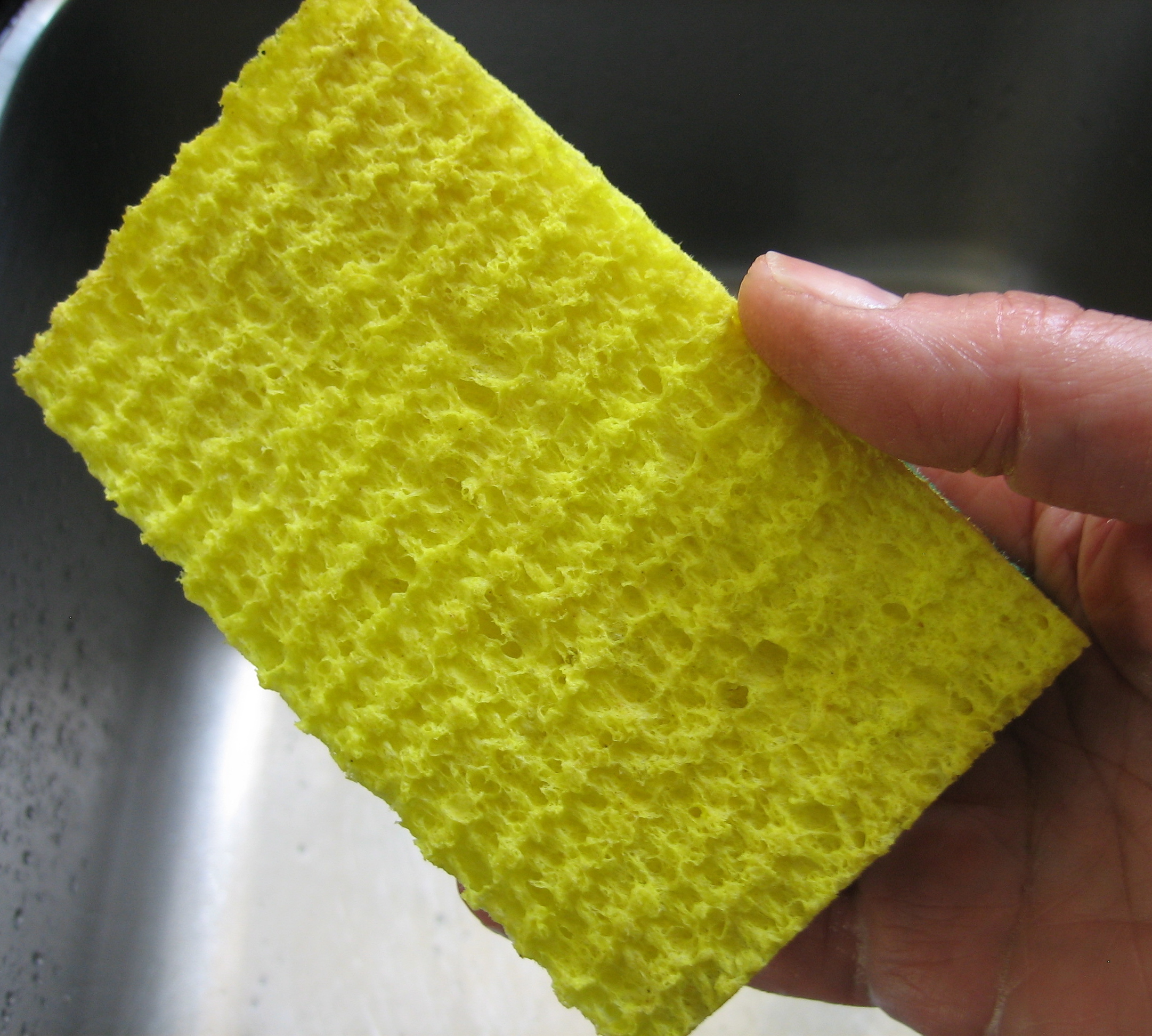 The Parsimonious Princess: The Dirty Truth: Get Rid of Your Kitchen Sponge