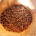 Bag of Hickory Nuts